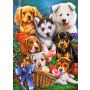 Puzzle Castorland 300el Pieski - 3